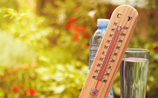 17 июля прогнозируют жару до +40, местами пройдут дожди