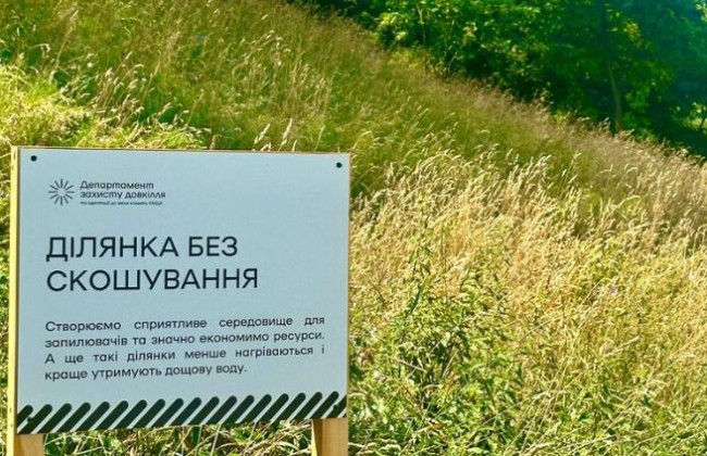 В Киеве отказались от кошения травы в парках, скверах и на бульварах: известна причина