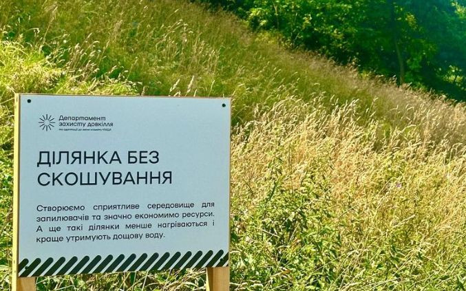 В Киеве отказались от кошения травы в парках, скверах и на бульварах: известна причина