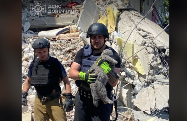 В Мирнограде из-под завалов разрушенного дома спасатели достали кота, фото