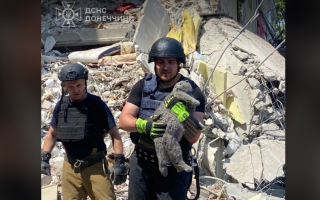В Мирнограде из-под завалов разрушенного дома спасатели достали кота, фото