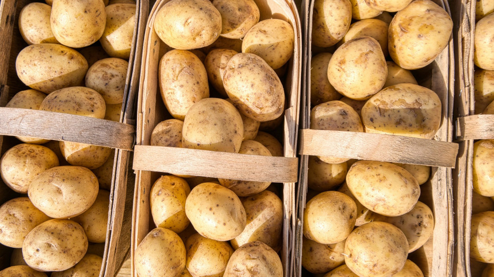 На Львівщині судили матір дітей, які повиривали кущі картоплі на чужому городі