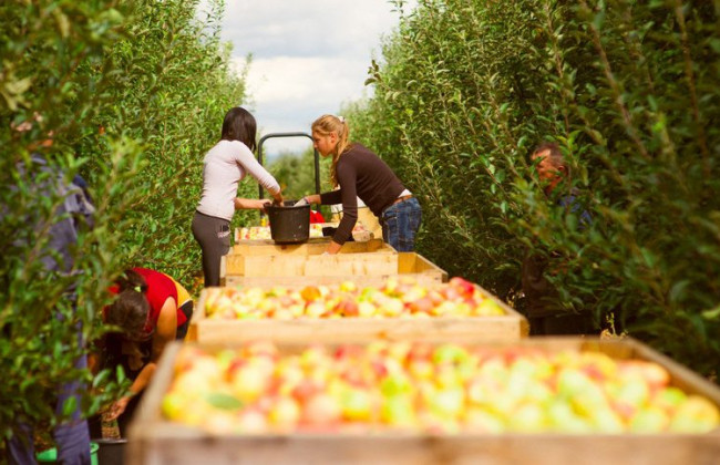 Особенности сезонной работы: что нужно знать работникам