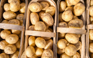 Во Львовщине судили мать детей, которые вырывали кусты картофеля на чужом огороде
