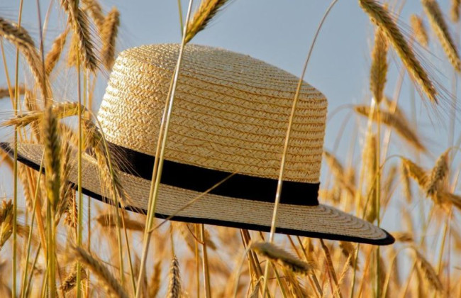 В Украине зафиксированы новые абсолютные максимумы температуры