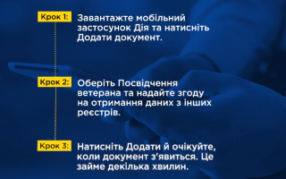 Как добавить электронное удостоверение ветерана в приложении Дія – алгоритм