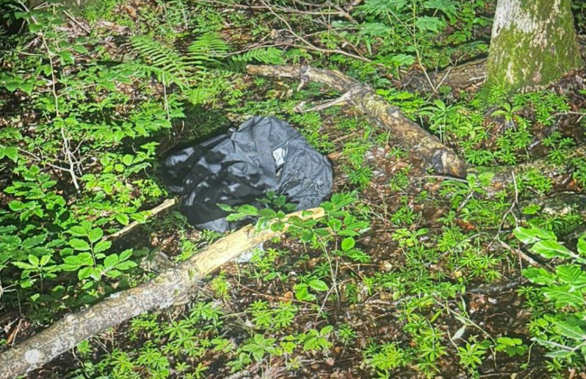 В горах на патрулировании украинско-словацкой границы нашли тело мужчины