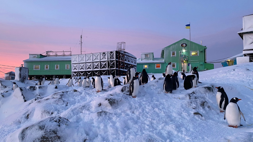Аномальне потепління в Антарктиці: у розпал зими полярники зафіксували плюсову температуру