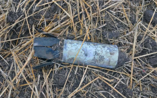 В Николаевской области мужчина подорвался на боеприпасе, который нашел на соседнем дворе