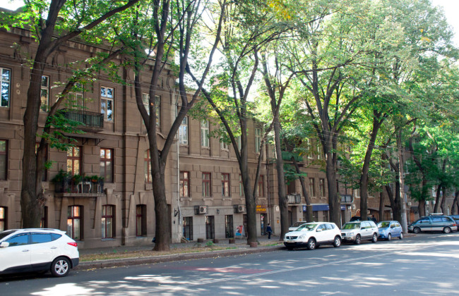 В Одессе иностранец избил женщину, которая вступилась за кондуктора