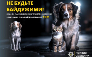 В Одесі невідомий застрелив безпритульних собак: справу розслідує поліція
