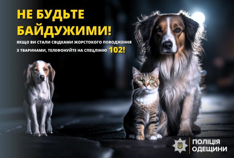 В Одесі невідомий застрелив безпритульних собак: справу розслідує поліція