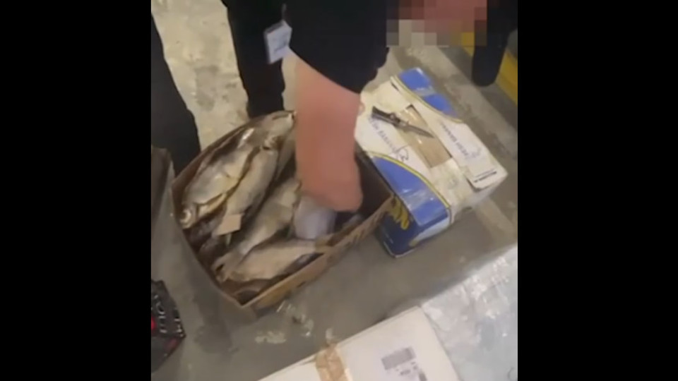 Улов із сюрпризом: контрабандист заховав цигарки серед риби
