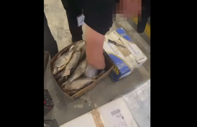 Улов с сюрпризом: контрабандист спрятал сигареты среди рыбы