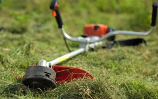 У Києві після аномальної спеки відновили скошування трави
