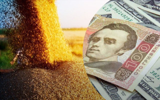 Уклонение от уплаты налогов на 54 миллиона гривен: в Одесской области будут судить директора сельхозпредприятия