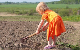 Какая ответственность за эксплуатацию детского труда: объяснение