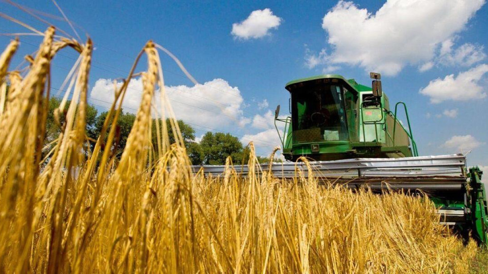 Україна вже зібрала понад 22 мільйони тонн зернових та олійних культур