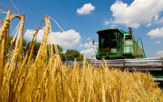 Украина уже собрала более 22 миллионов тонн зерновых и масличных культур