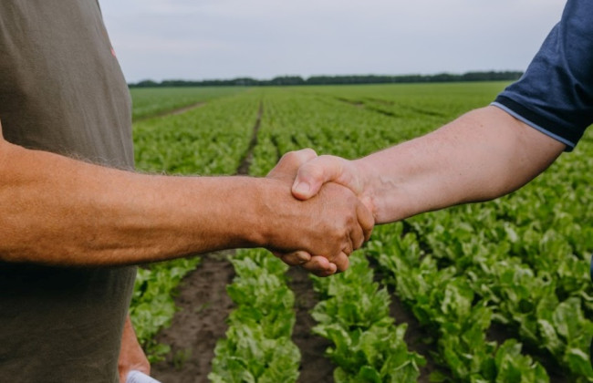 БП ВС высказалась о надлежащем способе защиты прав арендодателя в случае изменения нормативной денежной оценки земельного участка