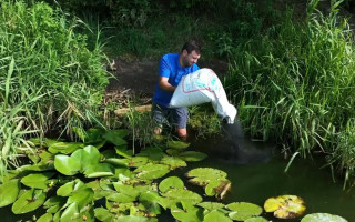 В Киеве на Позняках озеро очистили сорбентом, поглощающим нефть