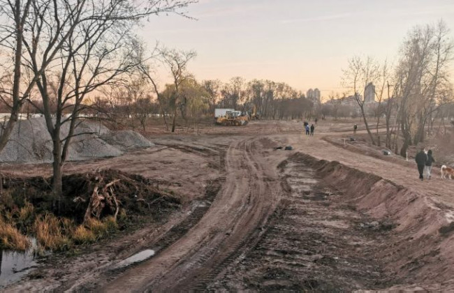 В Киеве во время строительства Моста-волны срубили 200 вековых деревьев: прокуратура открыла производство