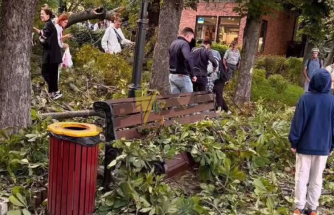 В Киеве в парке Шевченко на людей упало большое дерево, есть пострадавшие