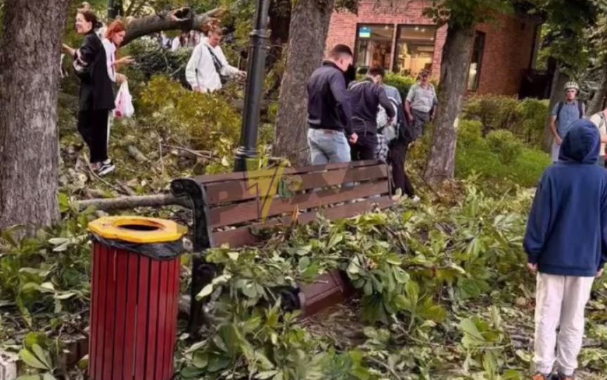 У Києві в парку Шевченка на людей впало велике дерево, є постраждалі