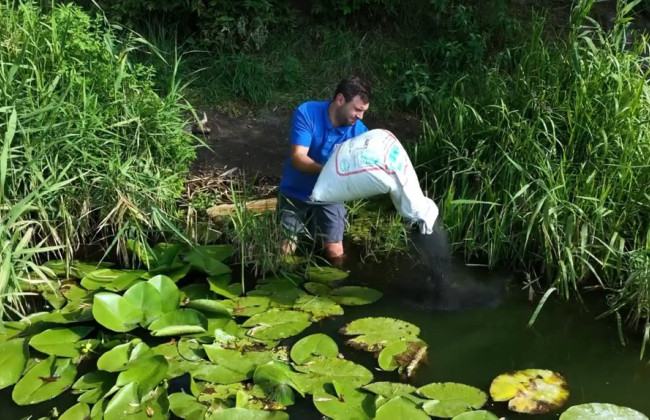 В Киеве на Позняках озеро очистили сорбентом, поглощающим нефть