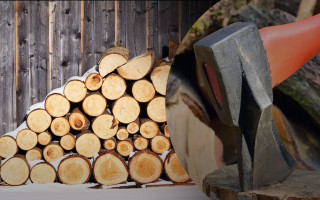 Мешканці прифронтових територій зможуть безкоштовно збирати дрова в лісі, але є умова