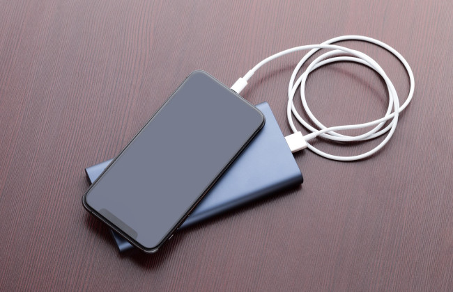 Бытовые павербанки не попали под отмену пошлин и налогов, — ДМС