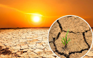 Ученые назвали регионы, в которых будет невозможно жить из-за экстремальной жары