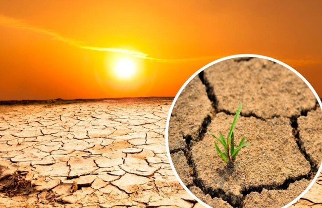 Вчені назвали регіони, в яких буде неможливо жити через екстремальну спеку