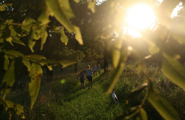 Июль в Киеве стал пятым самым теплым месяцем в рейтинге наблюдений с 1881 года
