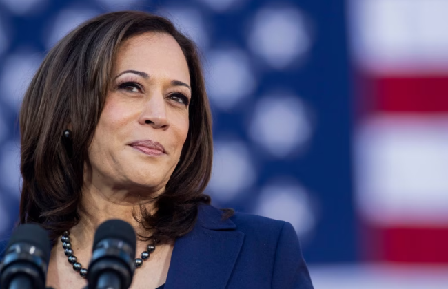 Демократическая партия США начинает голосовать за выдвижение Камалы Харрис в президенты