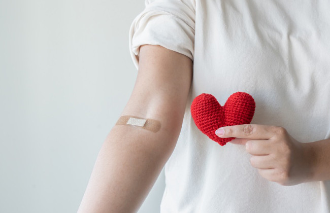 Питание донора: в Минздраве дали рекомендации, что есть перед донацией крови