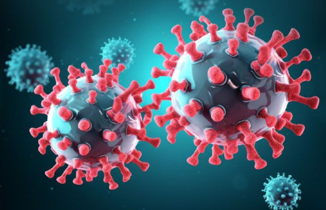 В Украине зарегистрировали случаи нового штамма коронавируса FLiRT — субварианта Omicron