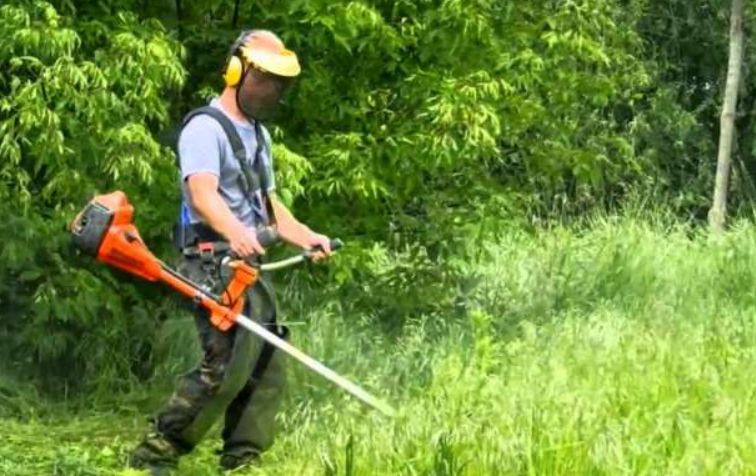 Більшість киян виступило проти косіння трави під суху стерню