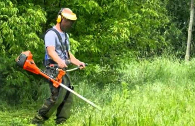 Большинство киевлян выступило против кошения травы под сухую стерню