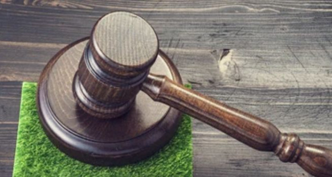 Статус и полномочия прокурора по земельным спорам: постановление БП ВС