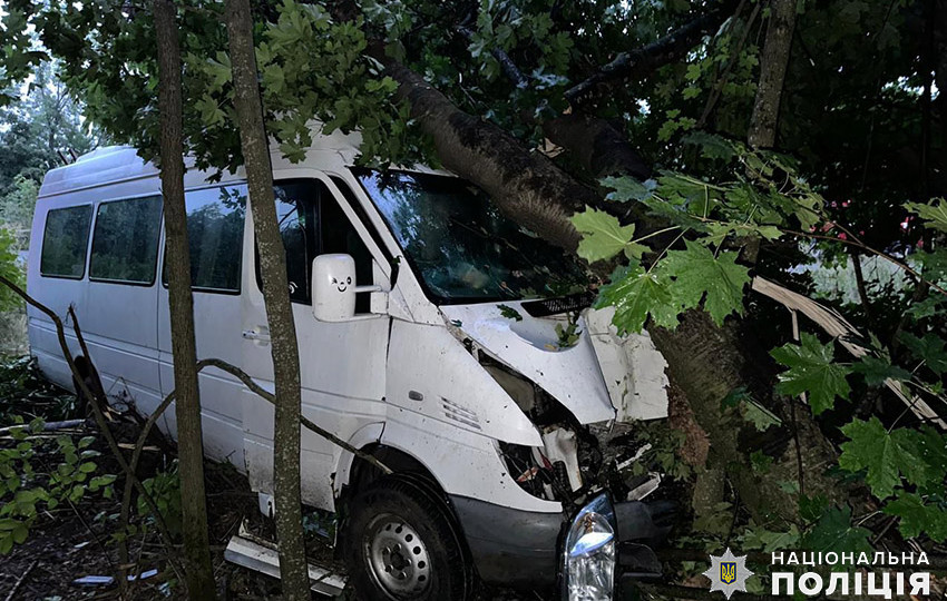 У Хмельницькому районі автобус із 15 пасажирами з'їхав у кювет і врізався у дерево