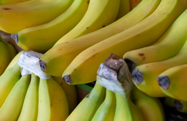 В грузе с бананами нашли спрятанные наркотики на более чем €1 миллион