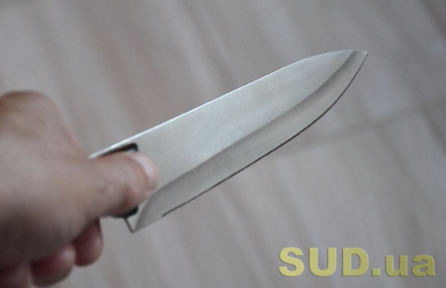 В Виннице женщина зарезала мужчину, который ее жестоко избил: что решил суд