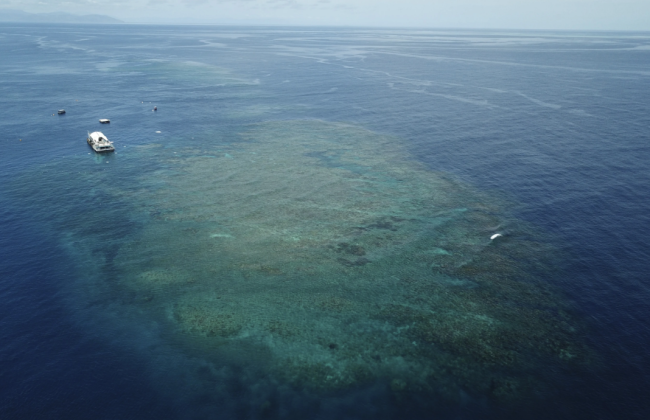 Температура океана в Большом барьерном рифе достигла самого высокого уровня за 400 лет