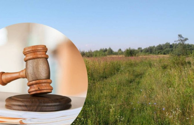 Кабмін запропонував змінити порядок продажу конфіскованих за рішенням суду у власність держави земельних ділянок