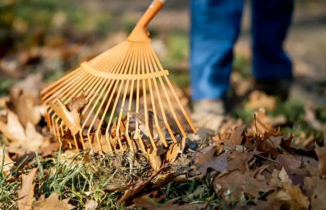 Бюджет смогут пополнить за счет оплаты осужденными расходов, связанных с исполнением судебного решения – Комитет рекомендовал законопроект