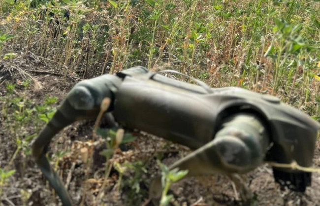 Украина готовится выпустить на фронт роботов-собак