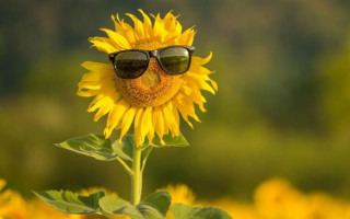 У найближчі дні в Україну оминатимуть дощі та повернеться спека