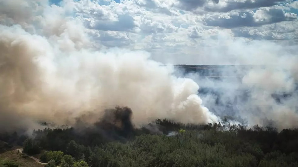 На Миколаївщині горить понад 30 гектарів лісу, вогонь поширився на житловий сектор