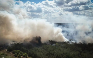 На Миколаївщині горить понад 30 гектарів лісу, вогонь поширився на житловий сектор
